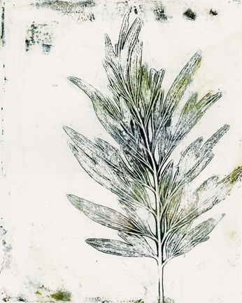 Framed Presence of Nature VIII Print