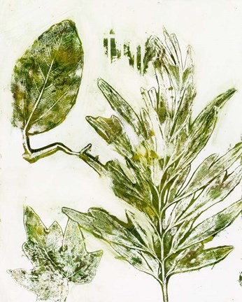 Framed Presence of Nature IX Print