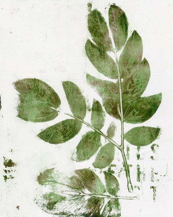 Framed Presence of Nature X Print