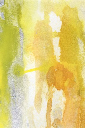 Framed Golden Reflections I Print