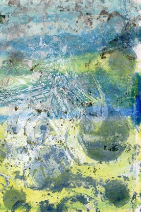 Framed Coral Haze I Print