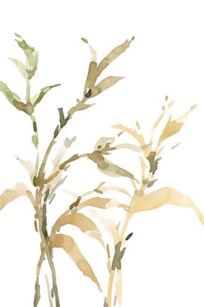 Framed Stems II Print