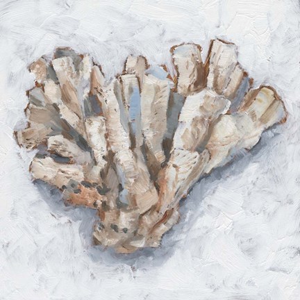 Framed Coral Display IV Print