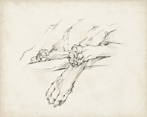 Framed Puppy Nap II Print