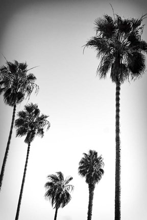 Framed Beach Air II Print