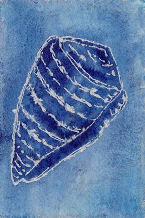 Framed Cerulean Shells II Print