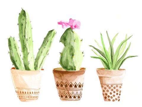 Framed Patterned Pots II Print