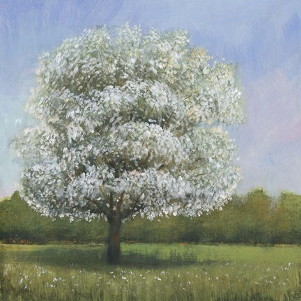 Framed Spring Blossom Tree I Print