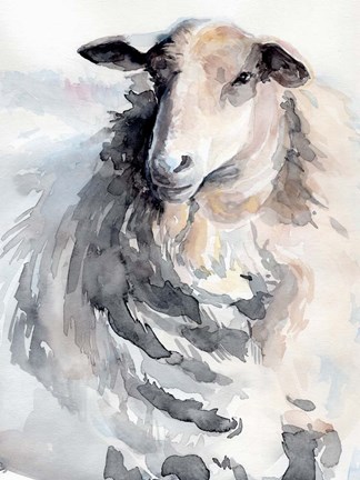 Framed Watercolor Sheep II Print