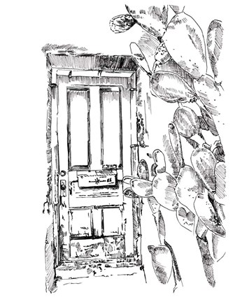 Framed Cactus Door VI Print