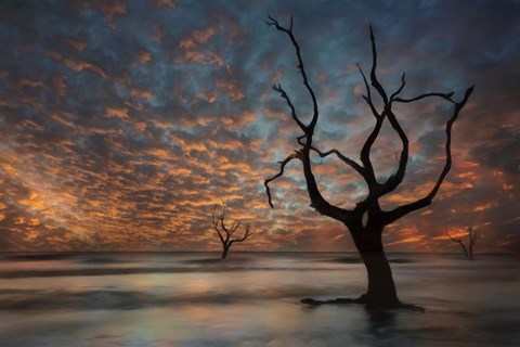 Framed Water &amp; Land V Print