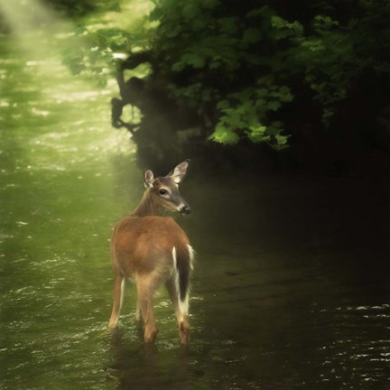 Framed Water &amp; Land VII Print