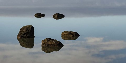 Framed Water &amp; Land VIII Print