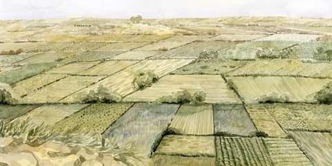 Framed Flatlands III Print