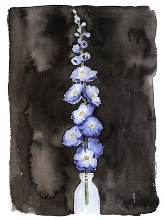 Framed Blue Delphinium II Print