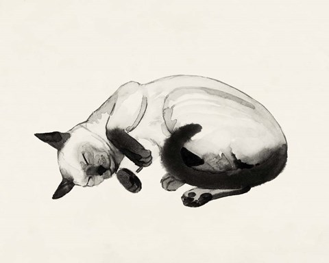 Framed Cat Laze III Print