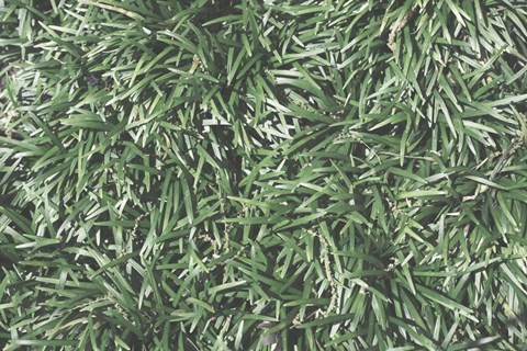 Framed Nature&#39;s Textures II Print