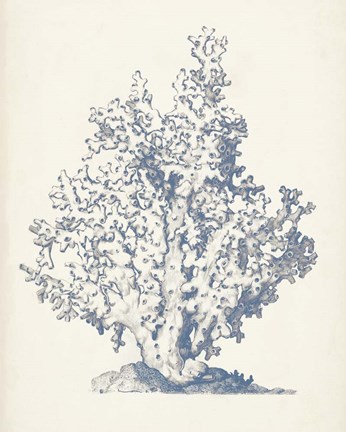 Framed Antique Coral Collection IV Print