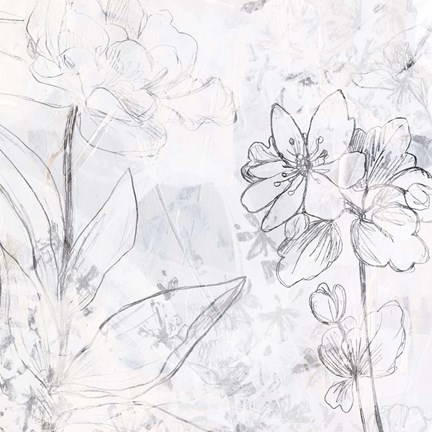 Framed Contour Garden Fresco II Print