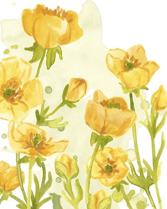 Framed Sunshine Meadow II Print