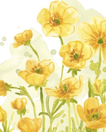 Framed Sunshine Meadow IV Print