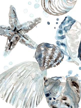 Framed Cerulean Seashells II Print