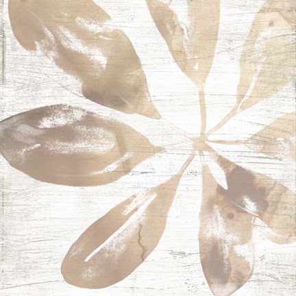 Framed Neutral Palm Fossil III Print