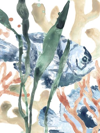 Framed In the Kelp I Print