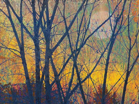 Framed Meadow Trees I Print