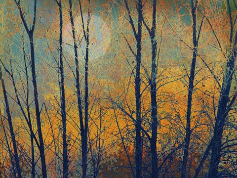 Framed Meadow Trees II Print