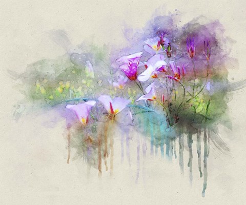 Framed Sego Lilies Print