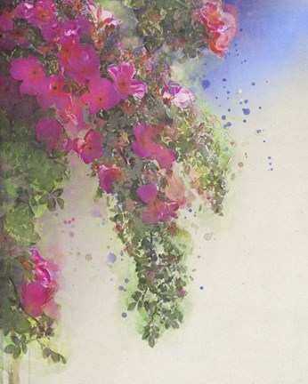 Framed Cascade of Roses I Print