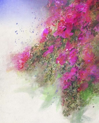 Framed Cascade of Roses II Print