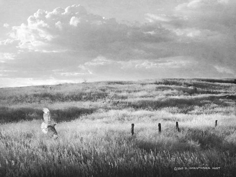 Framed Fence Line Flight I Print