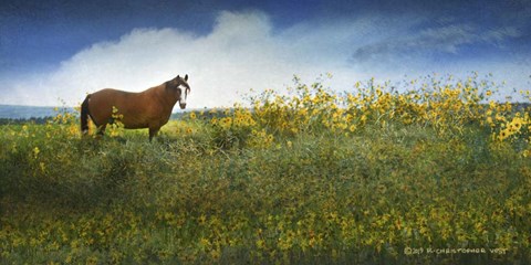 Framed Horse in Flowers I Print