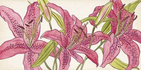 Framed Pink Lilies II Print