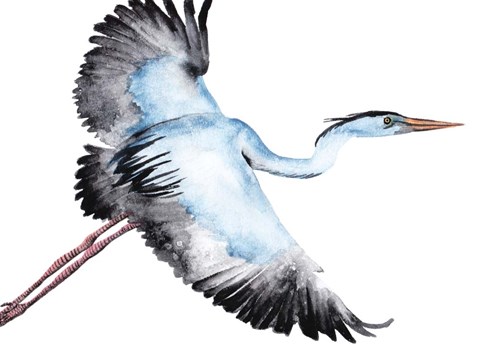 Framed From the Sky I Print