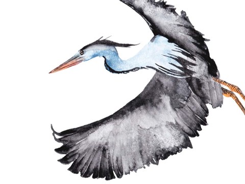 Framed From the Sky IV Print