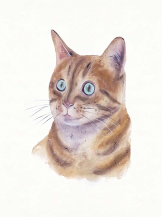 Framed Orange Cat II Print