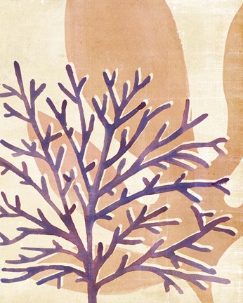 Framed Chromatic Sea Tangle IV Print