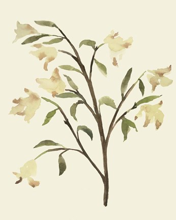 Framed Blest Branch I Print