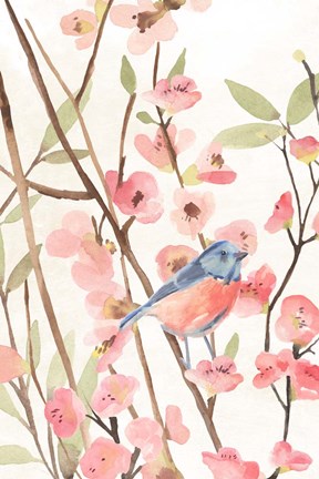 Framed Cherry Blossom Perch I Print