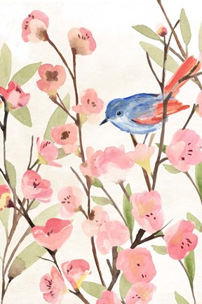 Framed Cherry Blossom Perch II Print