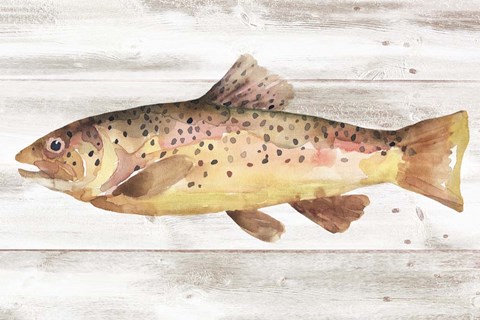Framed Spotted Trout I Print