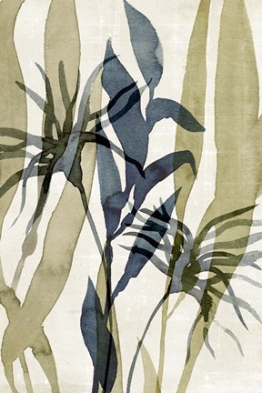 Framed Glassy Depths I Print