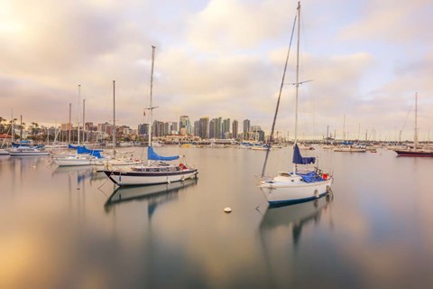 Framed Calm In Reflection San Diego Print