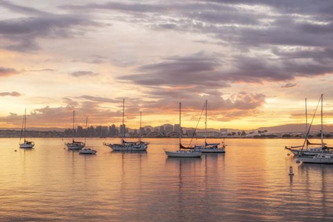 Framed Magical Morning Hues In San Diego Print