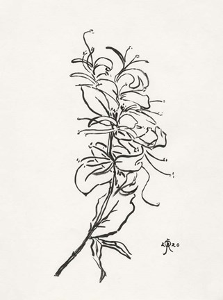 Framed Floral Ink Study VI Print