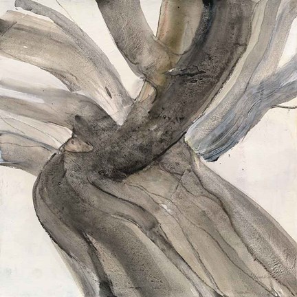 Framed Driftwood II Print