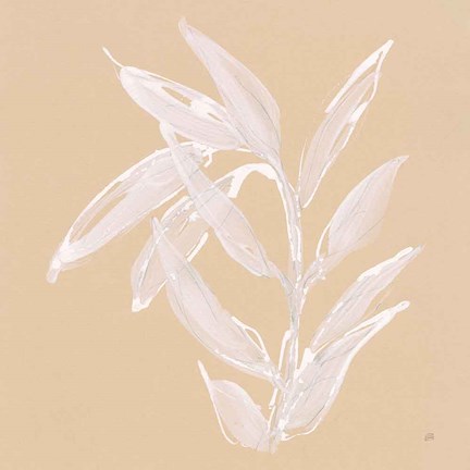 Framed Leaf Study III Print